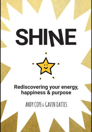 Shine - rediscovering your energy, happiness & purpose Ebook